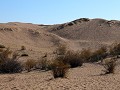 Reserva Prov. Telteca, wandeling La Tenca, de hoge