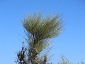 Res. Prov. Telteca, duinengebied, wandeling La Ten