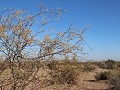 Reserva Prov. Telteca, wandeling La Tenca