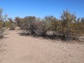 Reserva Prov. Telteca, wandeling La Tenca