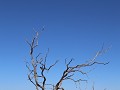 Reserva Prov. Telteca, wandeling La Tenca