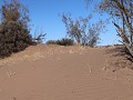Reserva Prov. Telteca, wandeling Las Hormigas