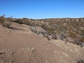 Reserva Prov. Telteca, wandeling Las Hormigas