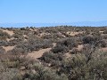 Reserva Prov. Telteca, wandeling Las Hormigas, bes
