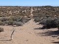 Reserva Prov. Telteca, wandeling Las Hormigas, het