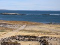 Puerto Deseado, Isla Pingüino 