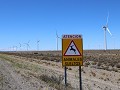 Puerto Deseado, onderweg, 20 windmolens, mooi op e
