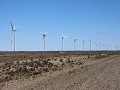Puerto Deseado, onderweg, 20 windmolens, mooi op e