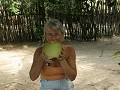 verfrissende kokosnoot vers van de palmboom bij de
