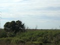 Pantanal, uitzicht
