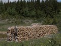 houtstapels langs de weg naar Conche