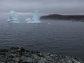 Goose Cove, indrukwekkende ijsberg met 2 torens