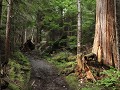 Kitimat - North Cove Trail