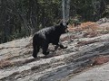 Ingraham Trail, zwarte beer
