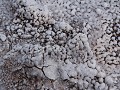Wood Buffalo NP, Salt Etched Rocks, zoutkristallen
