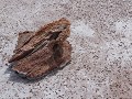 Wood Buffalo NP, Salt Etched Rocks, geërodeerde st