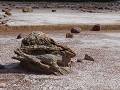Wood Buffalo NP, Salt Etched Rocks, geërodeerde st