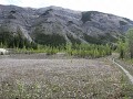 Mineral Licks trail, Alaska Hwy
