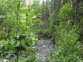 Teeter Creek, Alaska Hwy