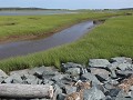 Cole Harbour, Salt Marsh Trail, fietstocht