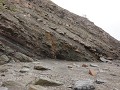 Joggins Fossil Cliffs, gelaagde rotswand
