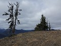 E.C. Manning Prov. Park - Dry ridge trail