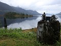 Port Alice - Sea Walk trail, berenfamilie aan het 