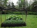 The Bernt Ronning Garden