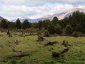 Villa O'Higgins, Parque Glacial Mosco, wandeling m
