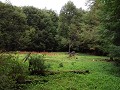 Villa O'Higgins, Parque Glacial Mosco, wandeling m