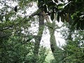 Villa O'Higgins, Parque Glacial Mosco, wandeling m