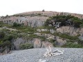 Torres del Paine PN, dag 2, wandeling mirador Glac