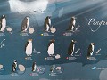 Reserva Natural Pinguino Rey, soorten pinguïns wer