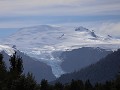 Carretera Austral, PN Pumalín, Sendero Ranita de D