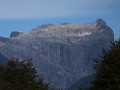 Carretera Austral, PN Pumalín, Sendero Ranita de D