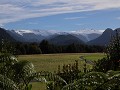 Carretera Austral, PN Pumalín, Sendero Ranita de D