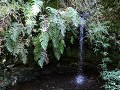 Carretera Austral, Caleta Gonzalo, PN Pumalín, Sen