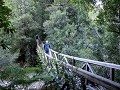 Carretera Austral, PN Pumalín, Sendero Alerces 