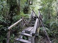 Carretera Austral, PN Pumalín, Sendero Alerces 