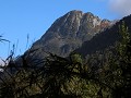 Carretera Austral, PN Pumalín, Sendero Alerces 