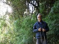 Carretera Austral, PN Pumalín, Sendero Alerces 