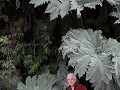 Carretera Austral, tussen Villa Mañihuales en Puyu