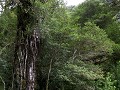 Carretera Austral, tussen Villa Mañihuales en Puyu