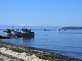 Chiloé, Tenaún Bajo, utizicht aan onze slaapplaats
