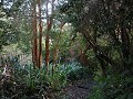 Chiloé, Fuerte Ahui   