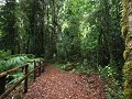 PN Alerce Andino, wandeling
