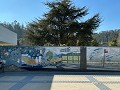 Concepción, Universidad de Concepción  