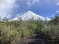 PN Vicente Pérez Rosales - Osorno vulkaan, wandeli