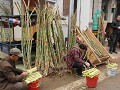 Qinghua, bamboescheuten