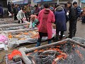 Qinghua, rode vissen voor 't nieuwjaarsdiner